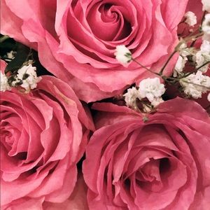 Meet your Posher, Daniela